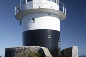 Cape Point Nature Reserve: Iconic E-Bike Tour with Guide