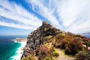 Cape Point Nature Reserve: Iconic E-Bike Tour with Guide