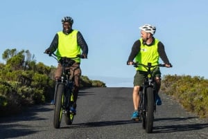 Cape Point Nature Reserve: Iconic E-Bike Tour with Guide