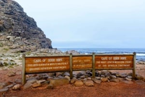 Cape Point Nature Reserve: Iconic E-Bike Tour with Guide