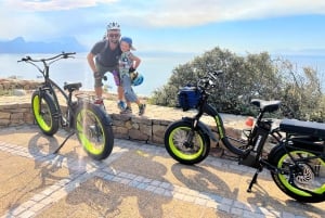 Cape Point Nature Reserve: Iconic E-Bike Tour with Guide