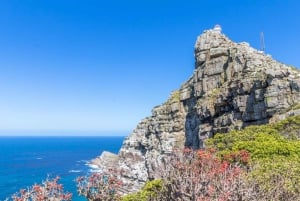 Cape Point Nature Reserve: Iconic E-Bike Tour with Guide