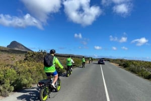 Cape Point Nature Reserve: Iconic E-Bike Tour with Guide