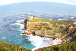 Cape Point Nature Reserve: Iconic E-Bike Tour with Guide