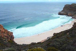 Cape Point Nature Reserve: Iconic E-Bike Tour with Guide
