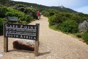 Cape Point Nature Reserve: Iconic E-Bike Tour with Guide