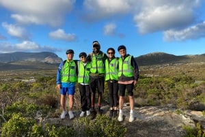 Cape Point Nature Reserve: Iconic E-Bike Tour with Guide