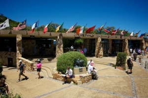 Cape Point Nature Reserve