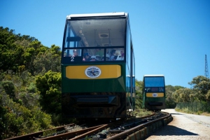 Cape Point Nature Reserve