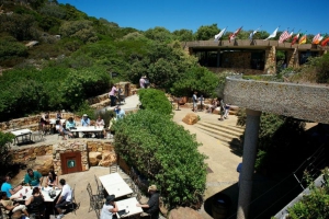 Cape Point Nature Reserve