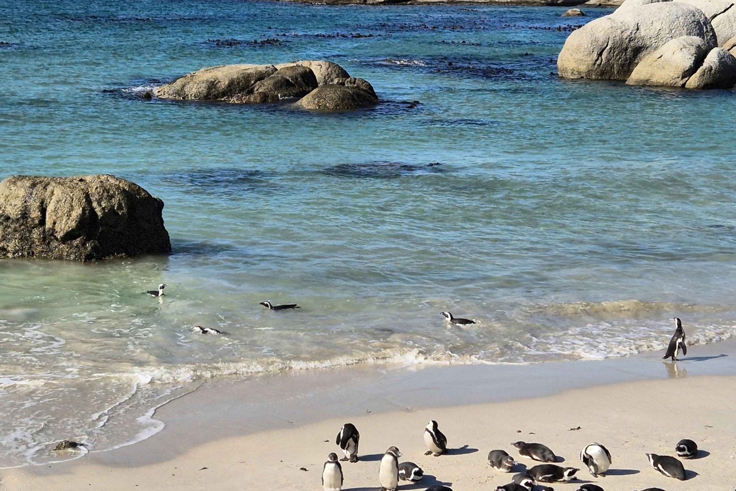 Cape Point Odyssee: Eine Reise an die Küste jenseits der Grenzen