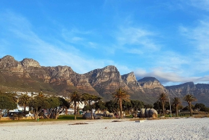 Cape Point och pingviner: Privat tur på Kaphalvön.
