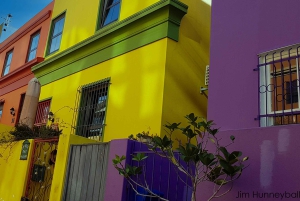 Cape Point och pingviner: Privat tur på Kaphalvön.