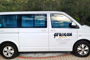 Cape Point och pingviner: Privat tur på Kaphalvön.