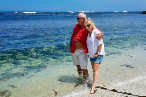 Cape Point och pingviner: Privat tur på Kaphalvön.