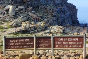 Cape Point, Pinguine, Tafelberg Ganztägige private Tour