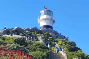 Cape Point, Pinguini, Table Mountain Tour privato di un giorno intero