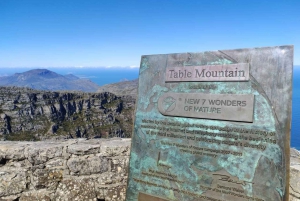 Cape Point, Penguins, Table Mountain Full Day Private Tour