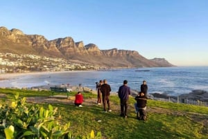 Kaap Punt, Pinguïns, Tafelberg Hele dag privétour