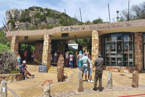 Excursão privativa de dia inteiro a Cape Point, pinguins e Table Mountain