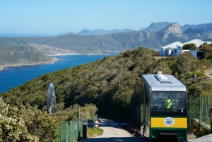 Cape Point, Penguins, Table Mountain Full Day Private Tour