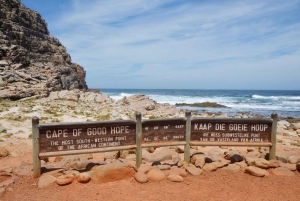 Tour de día completo por Punta del Cabo y Península