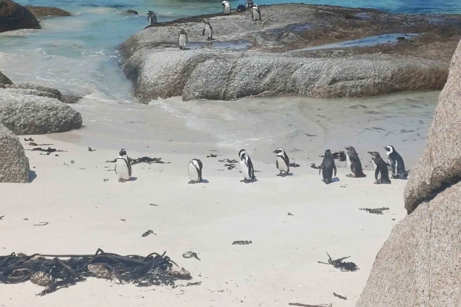 Экскурсия по полуострову Кейп-Пойнт с дегустацией вина