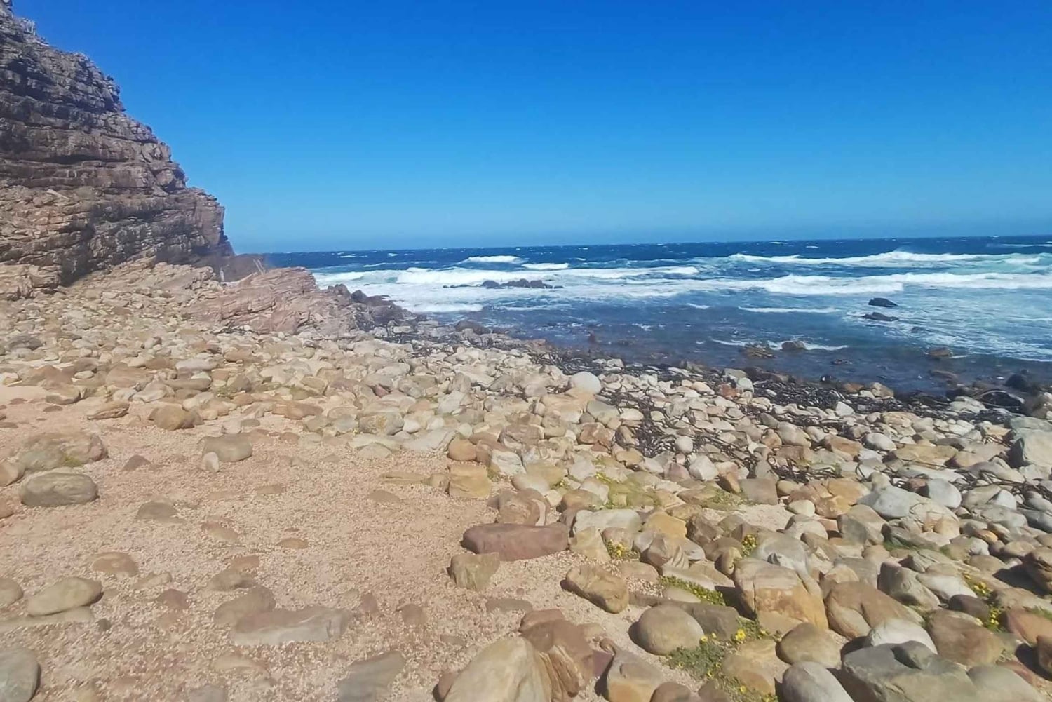 Экскурсия по полуострову Кейп-Пойнт с дегустацией вина