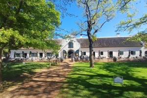 Экскурсия по полуострову Кейп-Пойнт с дегустацией вина