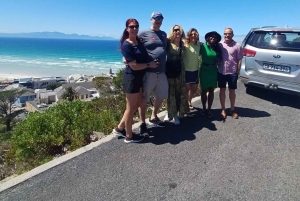 Экскурсия по полуострову Кейп-Пойнт с дегустацией вина