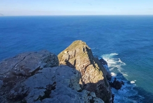 Экскурсия по полуострову Кейп-Пойнт с дегустацией вина