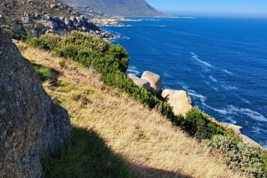 Cape Point: Private Tour incl surfing & penguins at Boulders