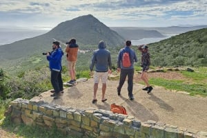 Cape Point: Private Tour incl surfing & penguins at Boulders