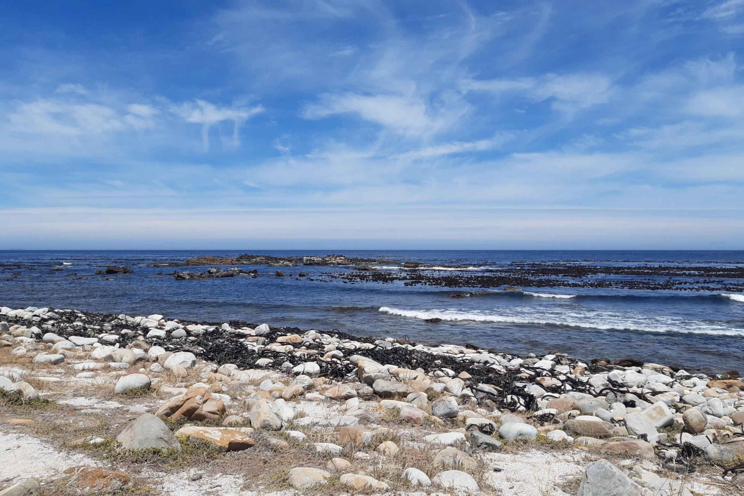 Kaap Punt Privétour, Tafelberg en wijnproeven