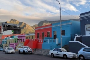 Excursión Exclusiva a Cape Point , Table Mountain y Degustación de Vinos