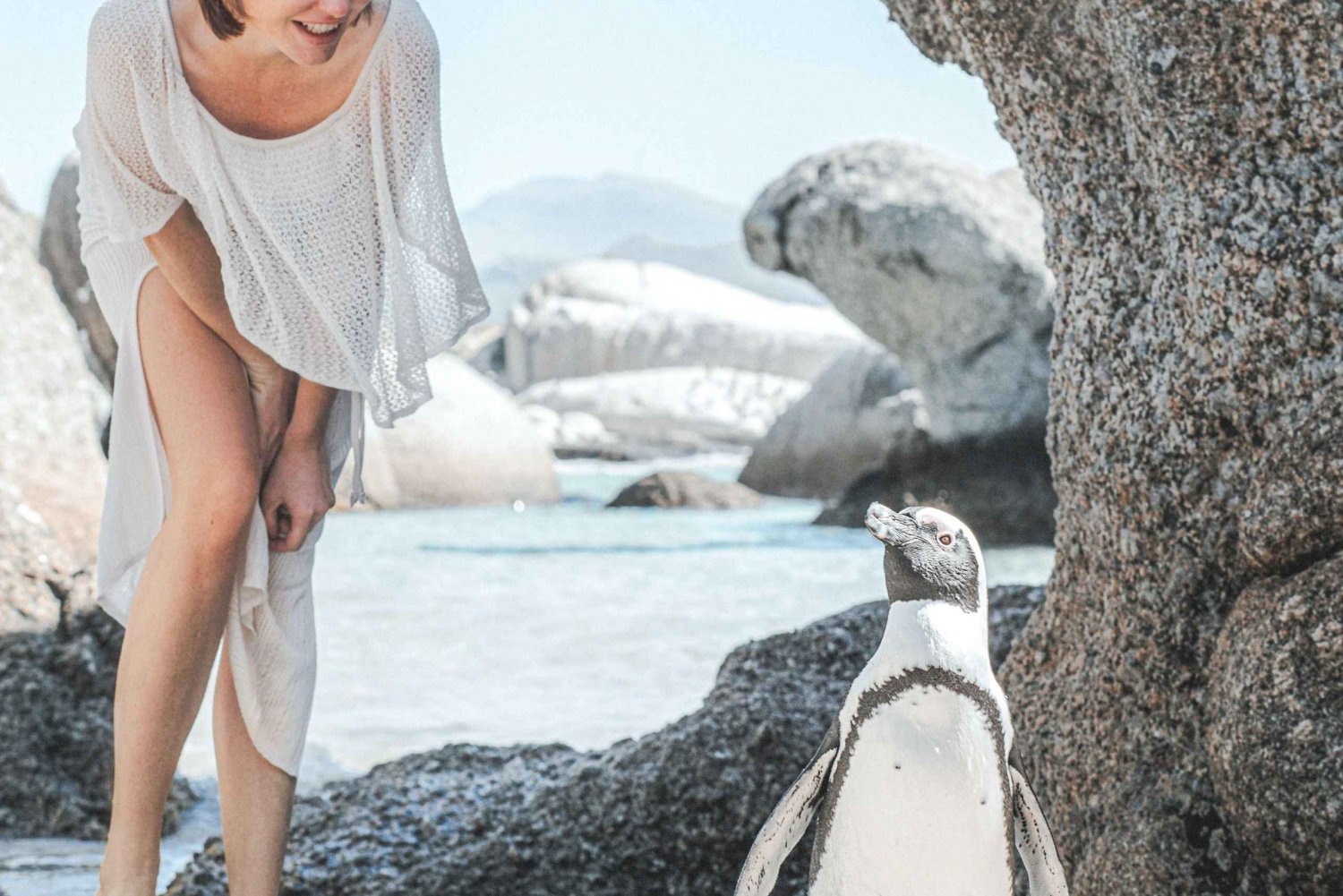 Punta del Cabo y los Pingüinos - Tour privado de día completo