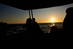 Kapstaden: 1,5 timmars lyxig solnedgångskryssning med Prosecco