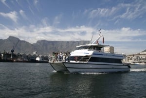 Ciudad del Cabo: Crucero de lujo de 1,5 horas al atardecer con Prosecco