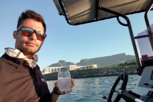 Cape Town: 1.5-Hour Sunset Boat Tour with Gin Tasting