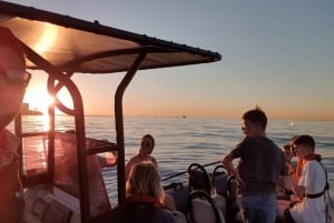 Cape Town: 1.5-Hour Sunset Boat Tour with Gin Tasting