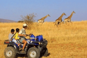 Cidade do Cabo: 1 dia de aventura de moto-quatro na reserva Aquila