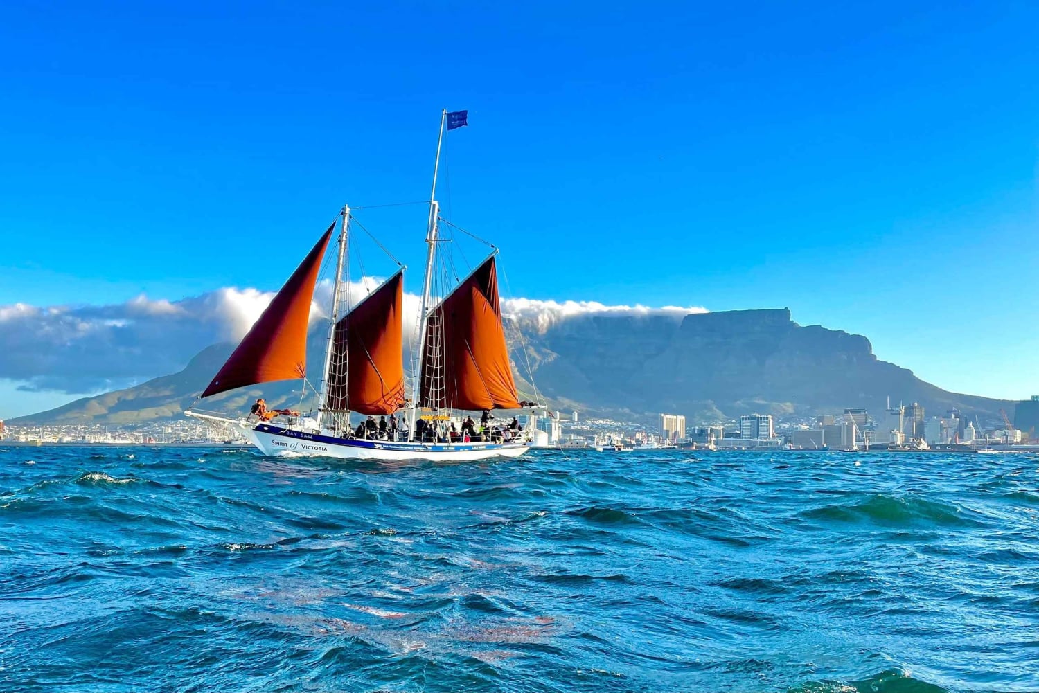 ケープタウン：1 時間のテーブル ベイ セーリング ツアー