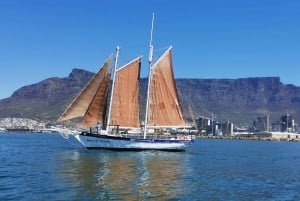 Ciudad del Cabo: Excursión en velero de 1 hora por la Bahía de la Mesa