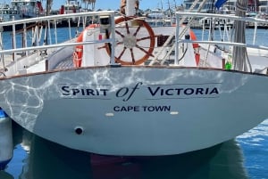Ciudad del Cabo: Excursión en velero de 1 hora por la Bahía de la Mesa