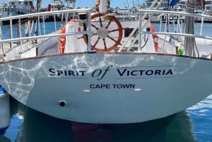 Le Cap : 1 heure d'excursion à la voile dans la baie de la Table