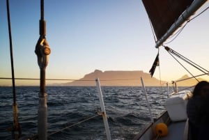 Cape Town: 1 times seiltur i Table Bay