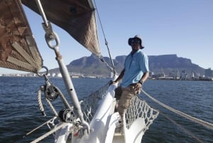 Kapstaden: 1 timmes seglingstur i Table Bay