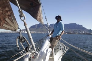 Le Cap : 1 heure d'excursion à la voile dans la baie de la Table