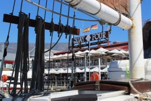 Ciudad del Cabo: Excursión en velero de 1 hora por la Bahía de la Mesa