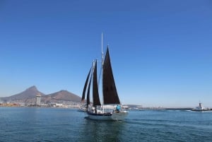 Cape Town: 1 Hour Table Bay Sailing Tour
